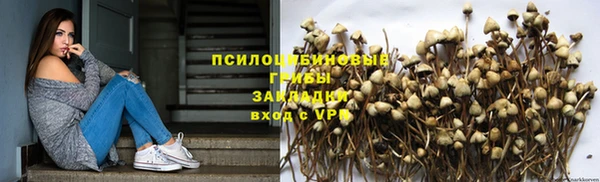 бошки Арсеньев